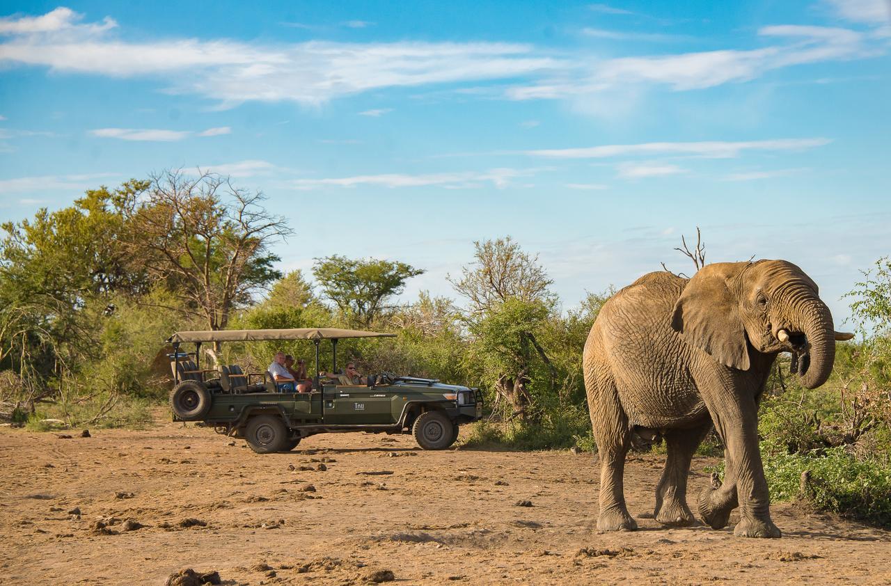 Tau Game Lodge Madikwe viltreservat Exteriör bild